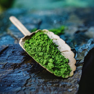 MATCHA, MIE. Granel.