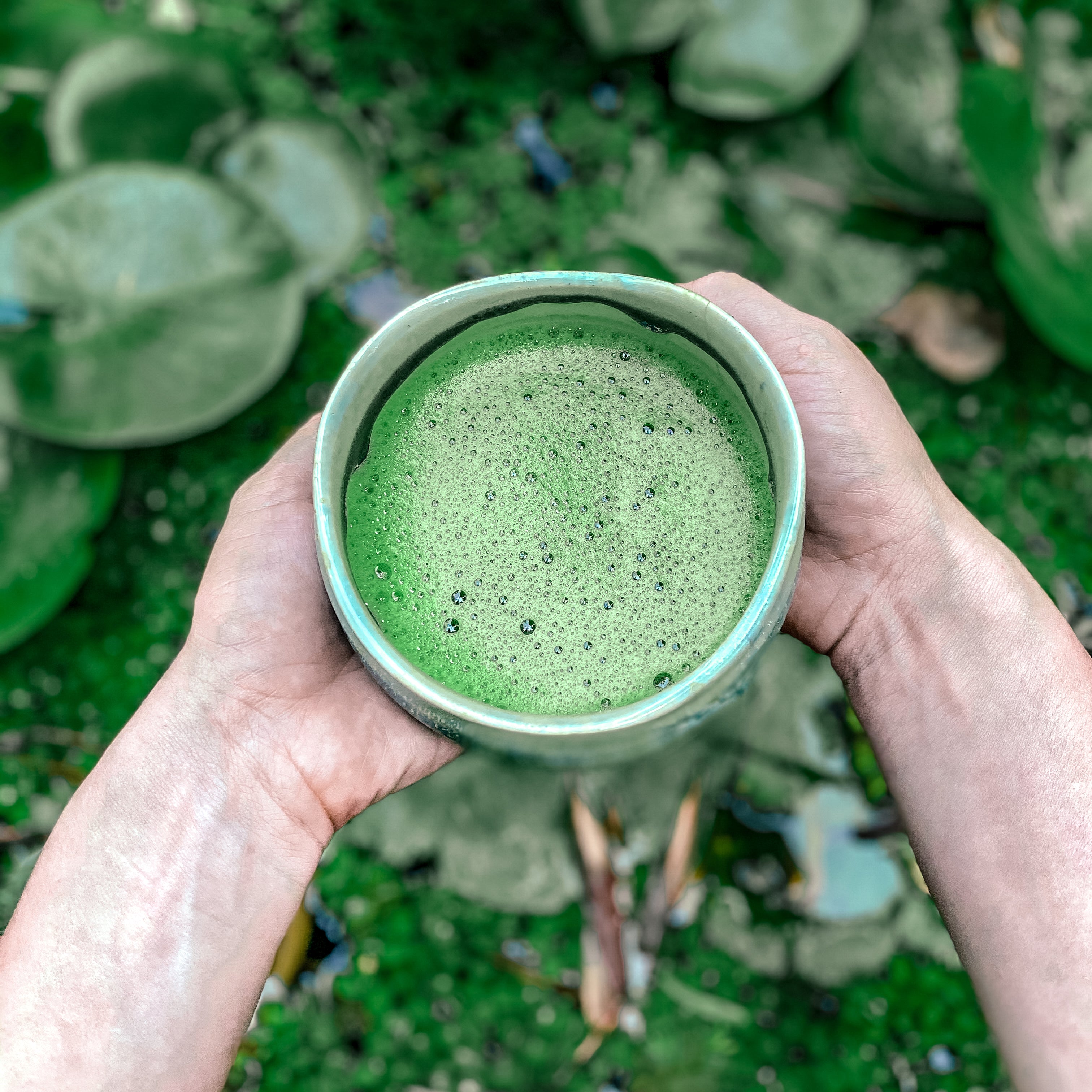 MATCHA, MIE. Granel.